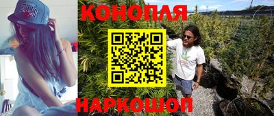 гашик Кинель