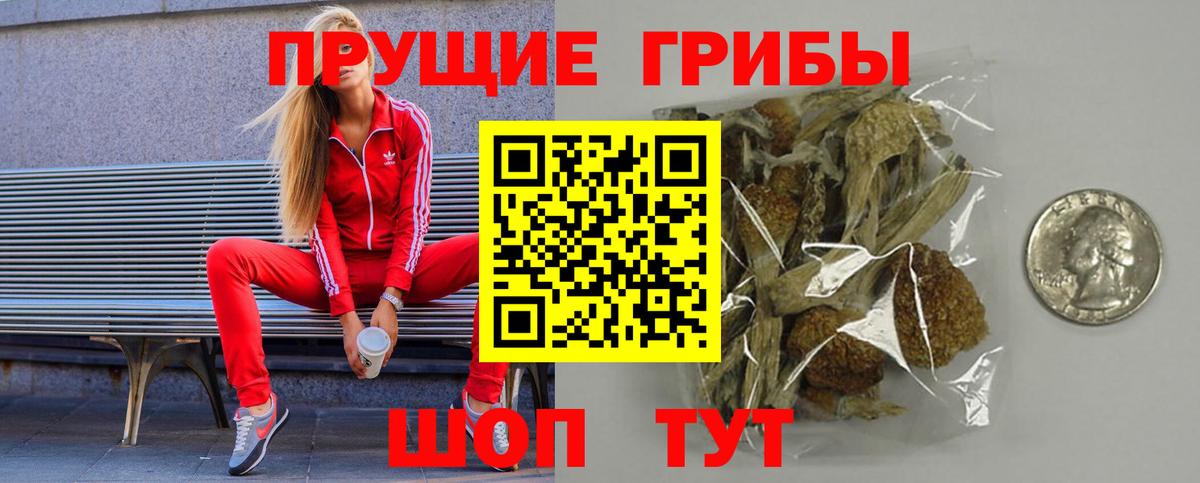 Галлюциногенные грибы Psilocybe Куйбышев