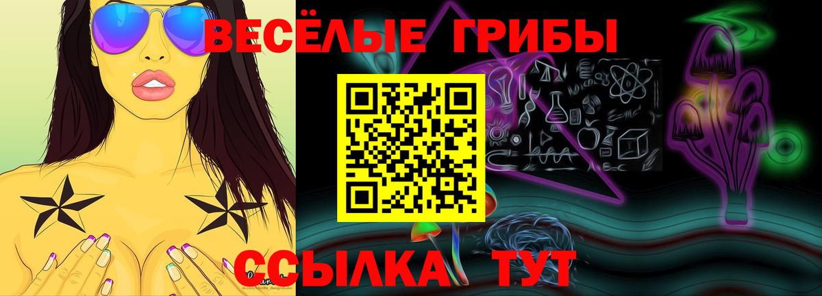 Куйбышев  Галлюциногенные грибы MAGIC MUSHROOMS  Галлюциногенные грибы прущие грибы  даркнет сайт  Вход с VPN 
