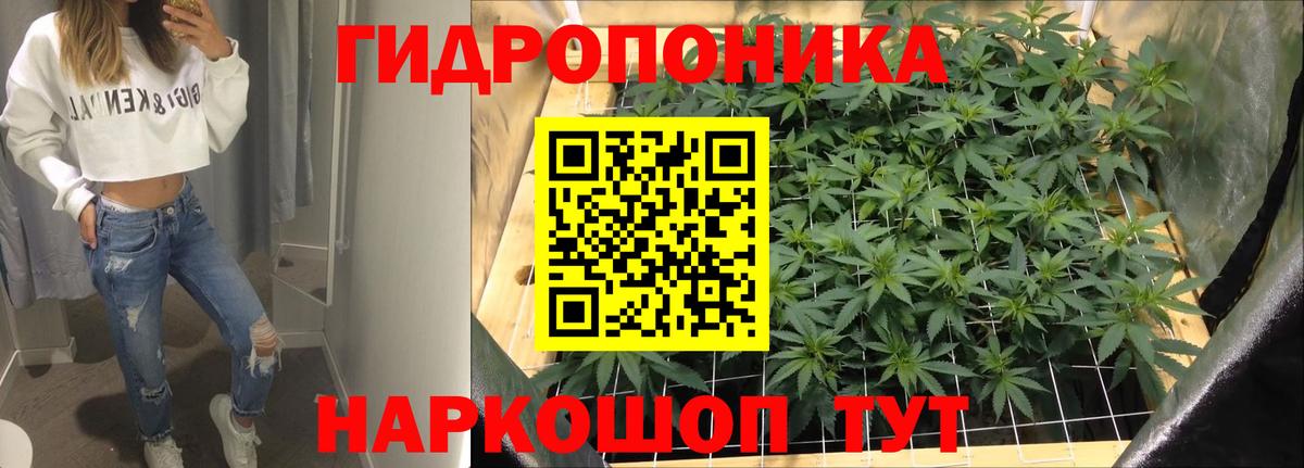 Конопля индика Куйбышев